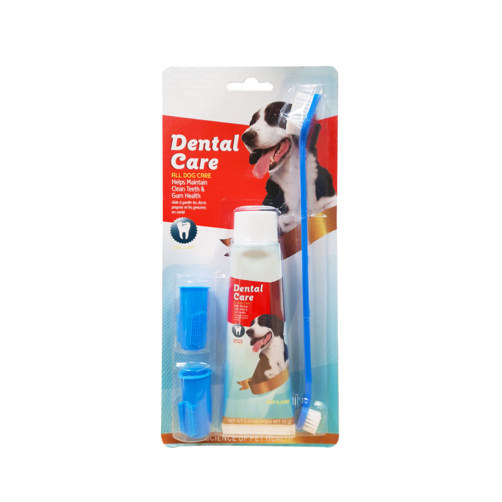 SET DENTAL CARE