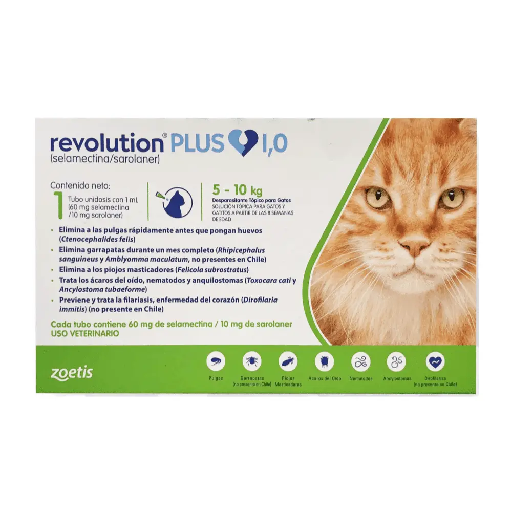 REVOLUTION PLUS GATO 5-10KG