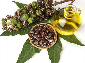 Benefits of Caster Oil for Skin