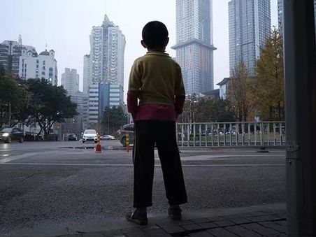 从南美洲苏里南丛林到重庆的十八梯老区|“图卷 Fresco”非虚构类短片