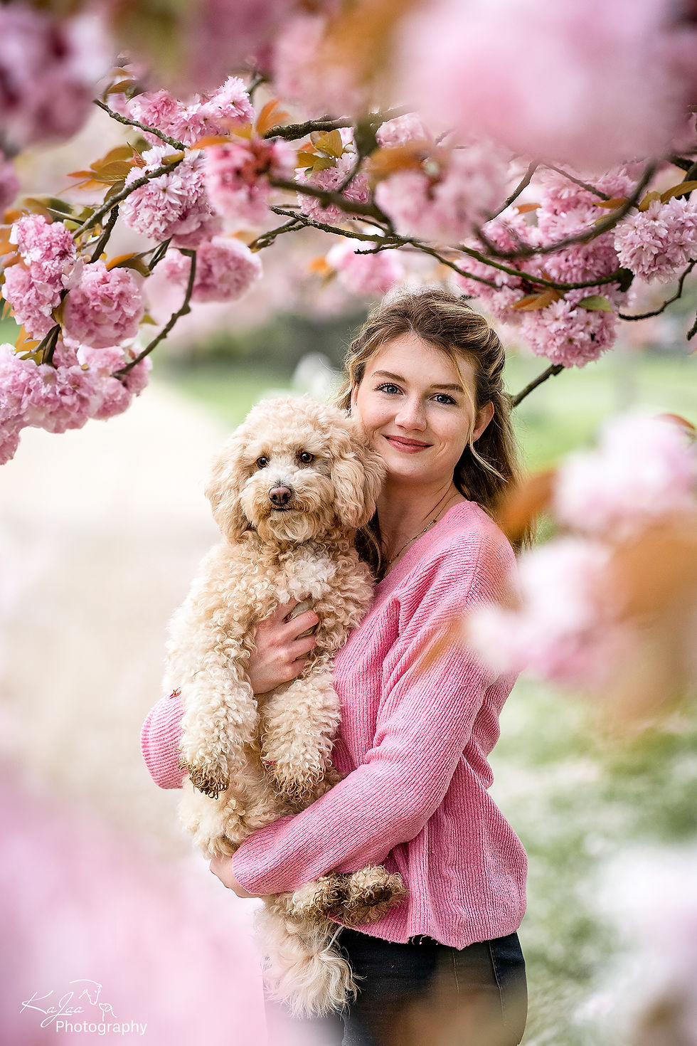 Frau hält einen Maltipoo während eines Hundshootings in der Kirschblüte im Arm