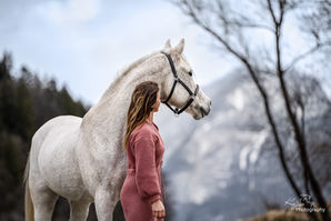 Tierfotograf - Pferdeshooting mit einem Spanier vor Tiroler Bergen