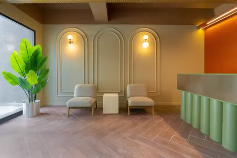 İki sandalye ve bitki ile modern iç mekan tasarımı. sosyal medya yönetimi istanbul