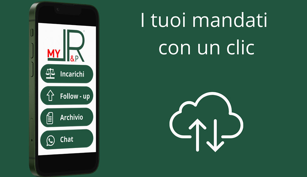Grafica esplicativa MyLR&P