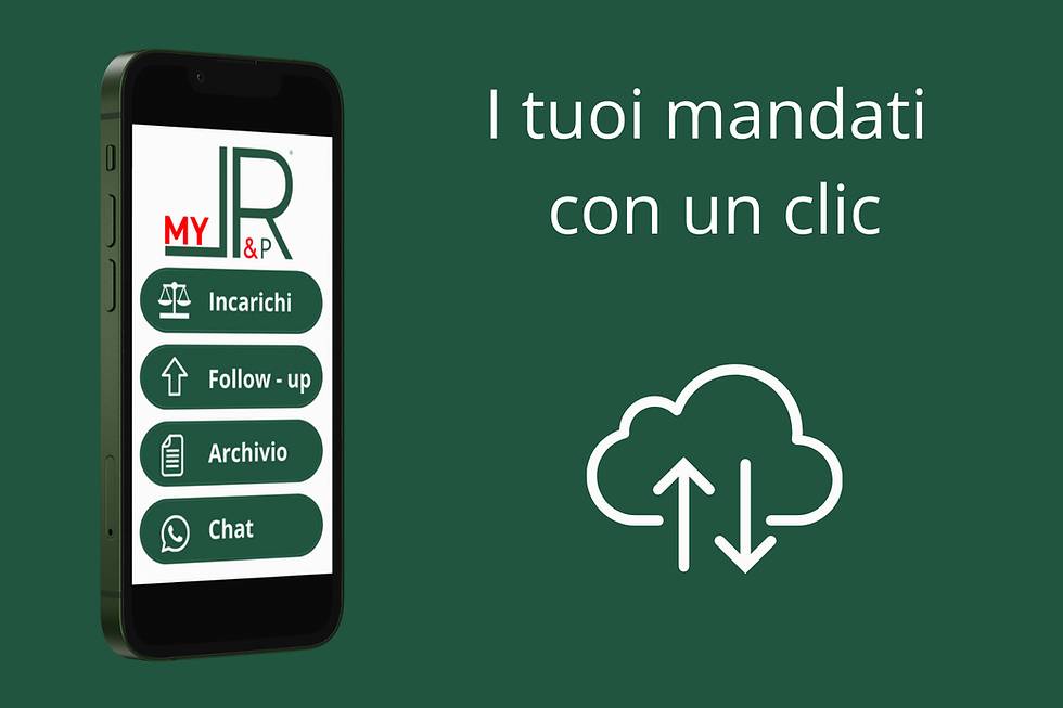 Grafica esplicativa MyLR&P
