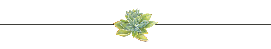 plant divider.png