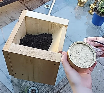 Herbie with Sawdust.jpg