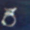 1000014317.jpg