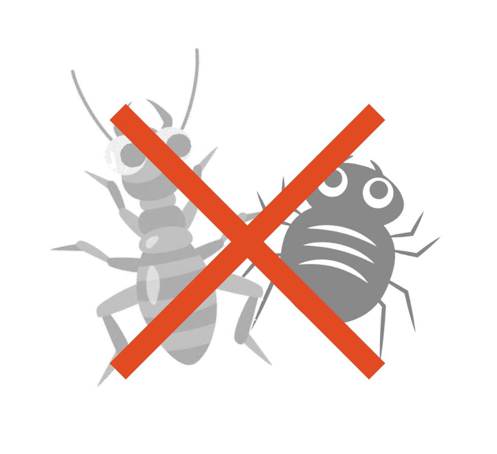 ひのきのすごい話 その５