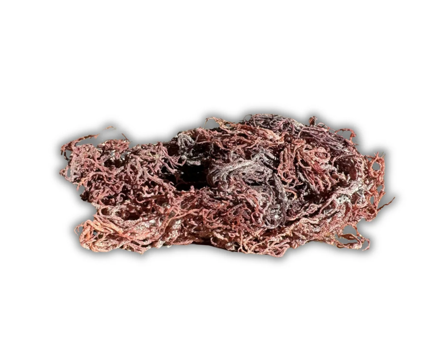 Sea moss