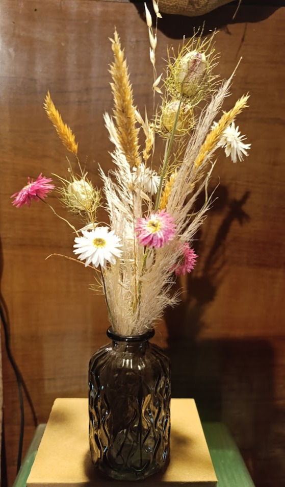 IMG_20250720_184620 (1)