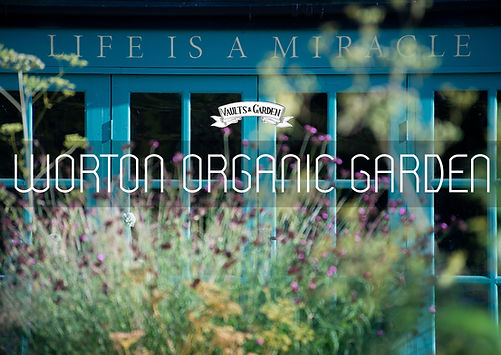 worten organic farm (1).jpg