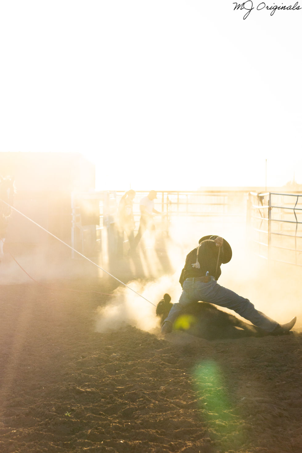 20221115-ZOP_arnell_10-2-1487