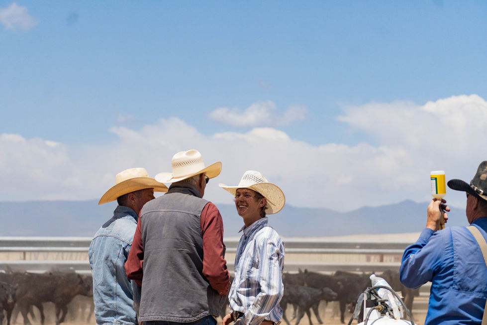 05_24_22.Branding-1-12