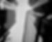pexels-matt-weissinger-10961360-2.jpg