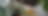 banner site aroma 2023 (3000 × 1000 px) (18).png