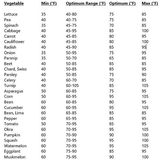 Soil Temperature Conditions for Vegetable Seed Germination