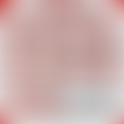 L'effectif complet pour la saison 2024/2025 !