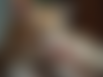 고양이 목욕과 그루밍