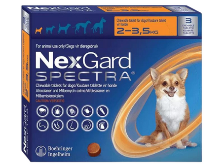 넥스가드 스펙트라 강아지 심장사상충약