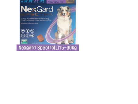 강아지심장상충약