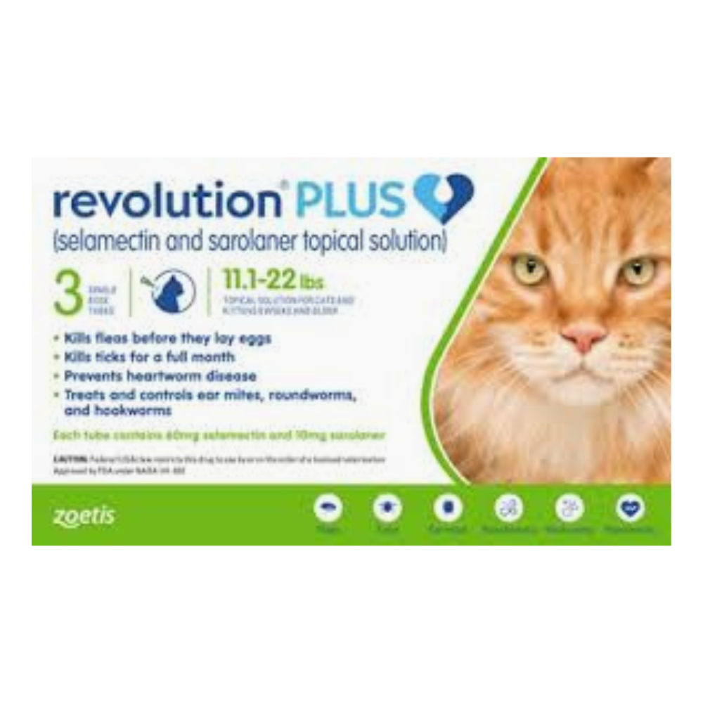 레볼루션 플러스 5.1~10kg (고양이)