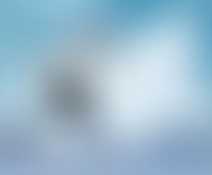 Spawtlight on Hisstory- Catrick Toebeans