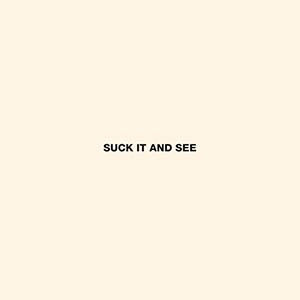 Arctic Monkeys - Suck It And See