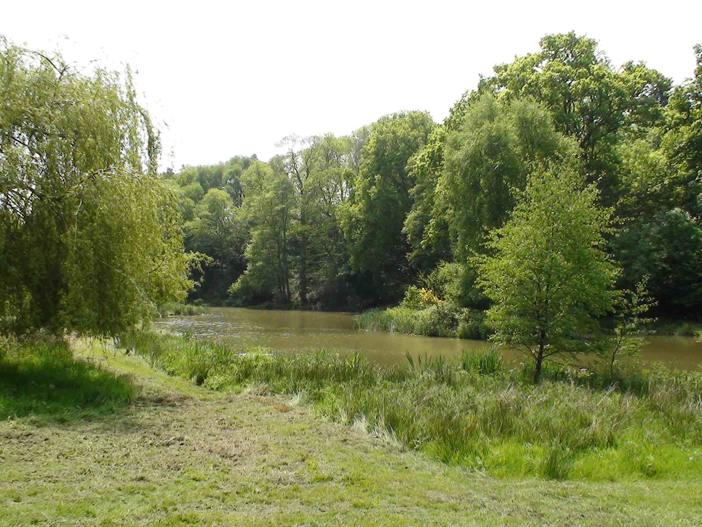 Junior Membership - Early bird