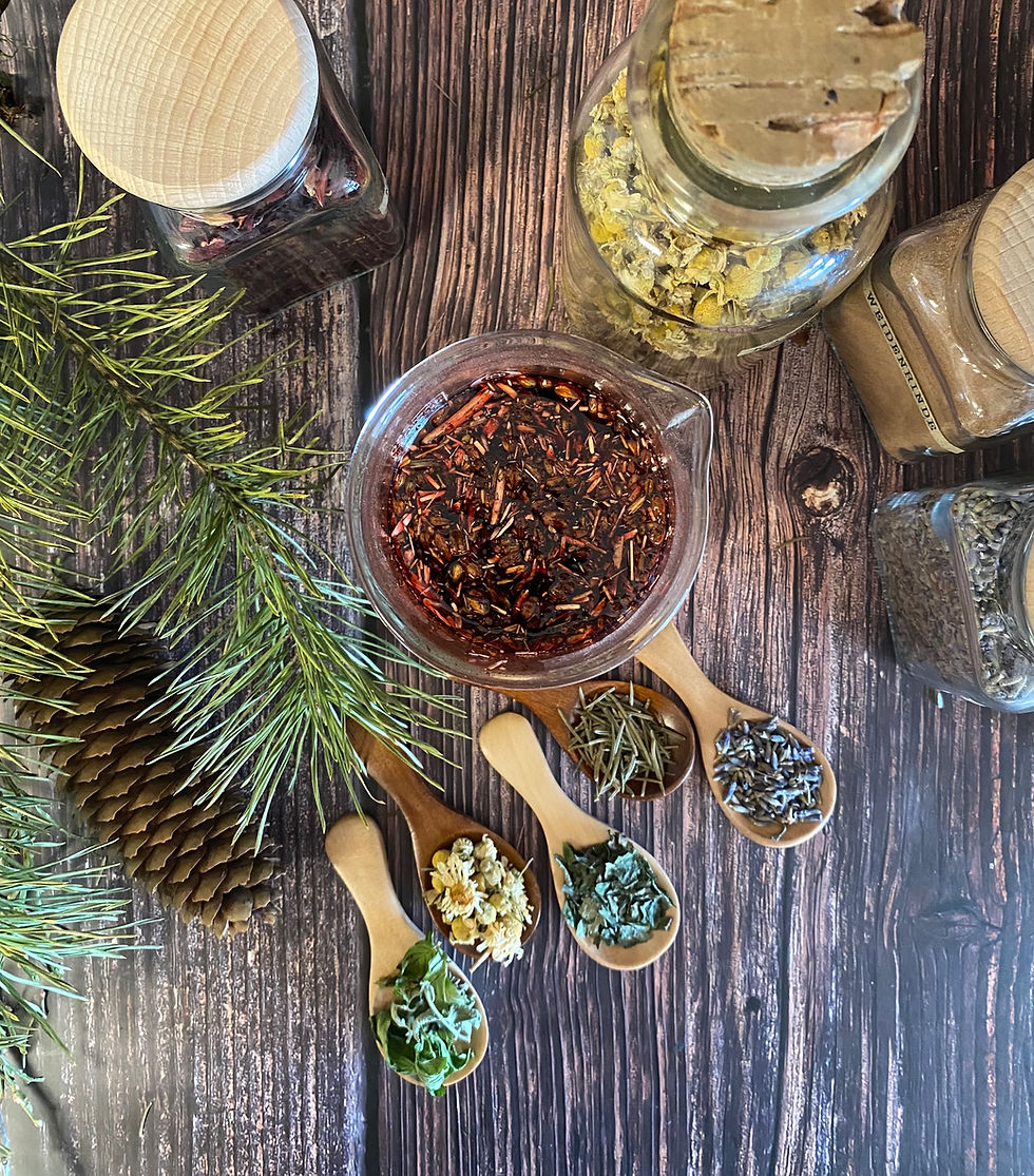 Miniaturbild: Öl-Serum 'Herbal Infusion'