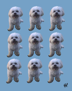 FULL DETAIL CUSTOM ILLUSTRATION