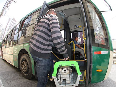 É permitido transportar animais de pequeno porte em ônibus em São Paulo
