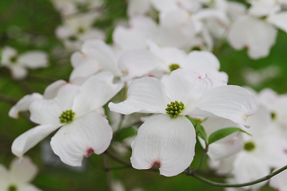 AdobeStock_267278938.jpeg