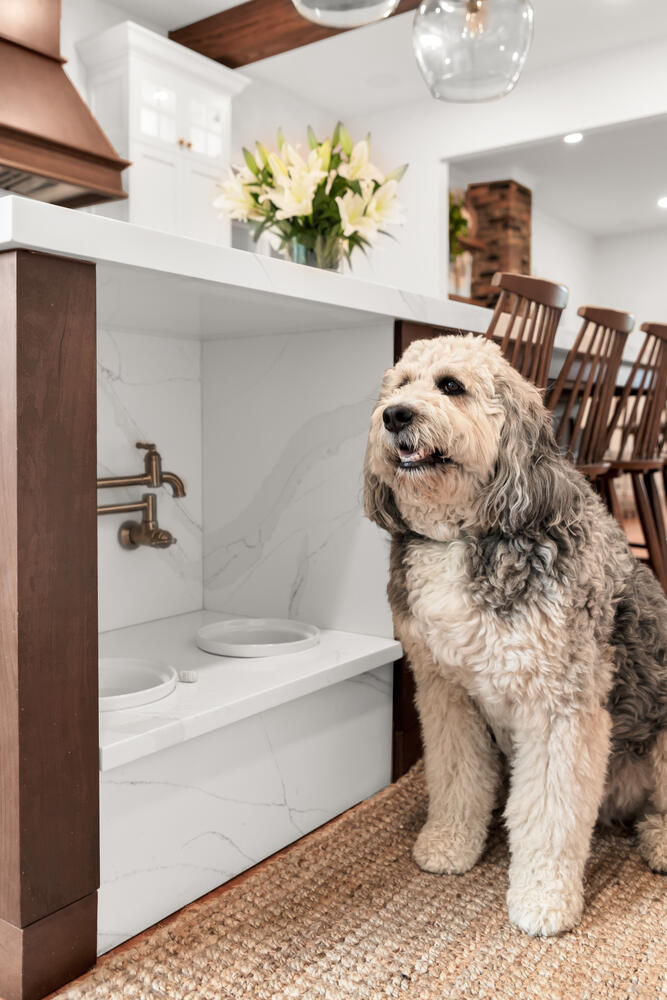 Signature Kitchen Image