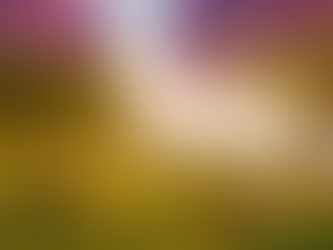 Rentvesting: The Millennial Strategy Turning the Property Market on Its Head