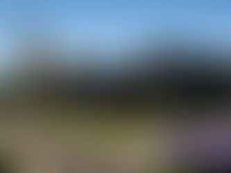 The Gold Rush Returns: Bendigo’s Bold Revival as a Regional Powerhouse