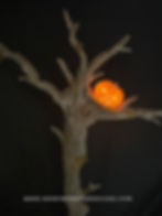 Thumbnail: Tree Lantern - 8 Foot! 