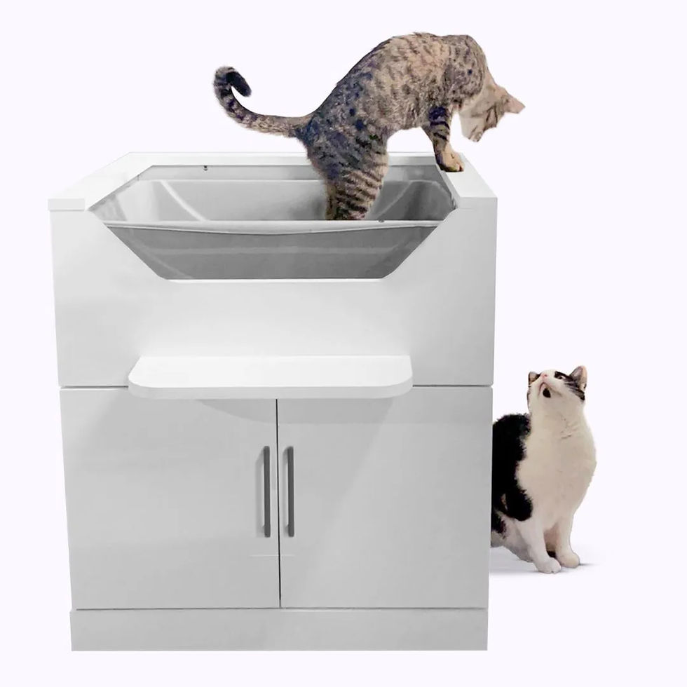 no bending to clean litter box