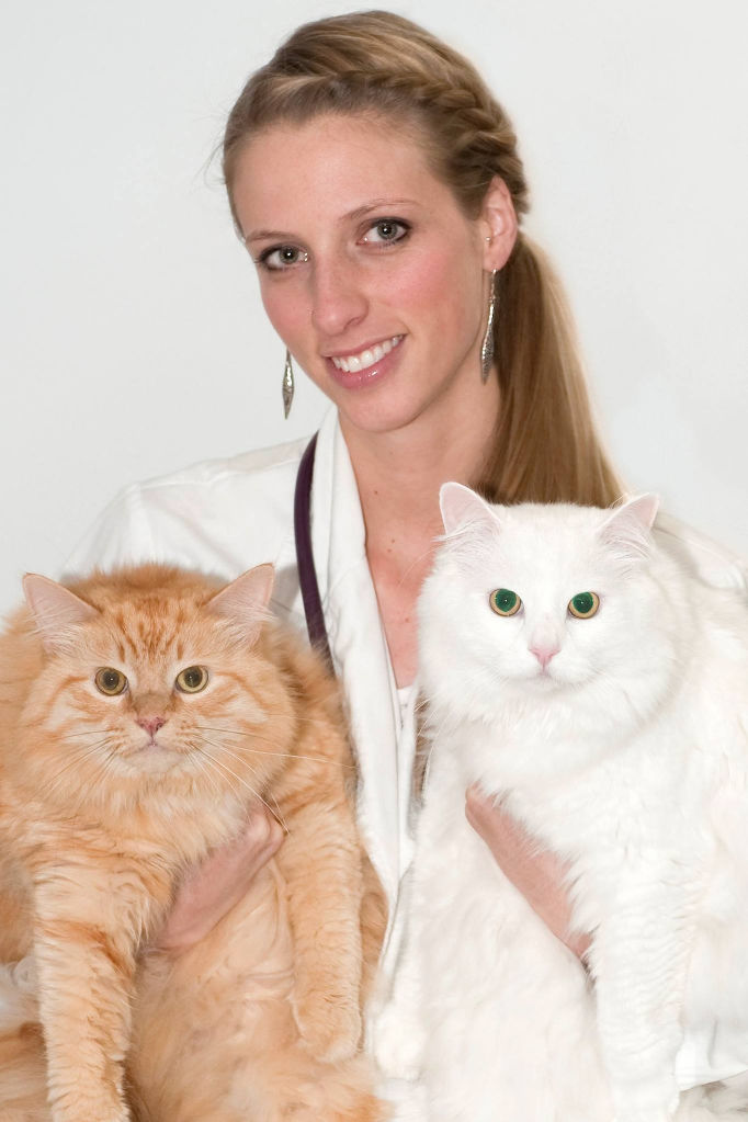 Cats Will Use Elevated Litter Boxes
