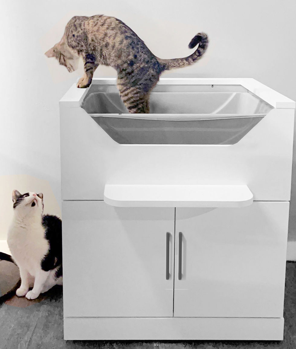 handicap litter box