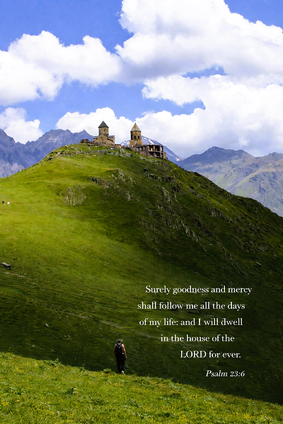 Scenic Image Poster.png