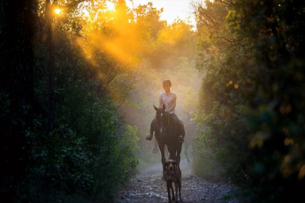 Horse riding through nature in the Konavle region near Molunat