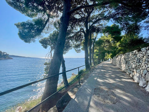 Customizable Dubrovnik shore excursion for cruise passengers seeking history, culture, and stunning views.
