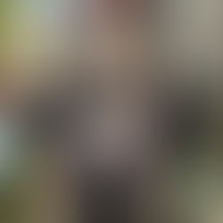 A Glimpse of Home: Hope, Heartbeats & Healing