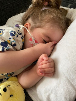 51b29c30-1a9f-42bb-ad28-7d1d53dfc06d