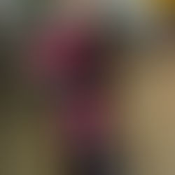 Standing Tall & Feeling The Breeze