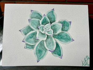 Succulent