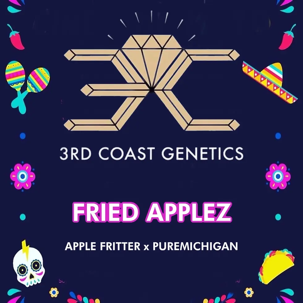 Thumbnail: Fried Applez (3rd Coast Genetics)
