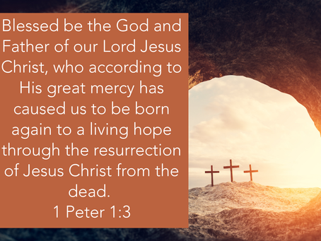 Hope That Will Not Die