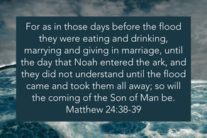 The Flood